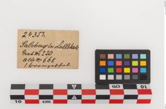 Etiketten zu Bronzegefäß (NHMW-PRAE-024351)